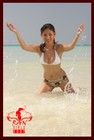Picture for song 'arigatou tomodatchi' by artist 'ccdian'