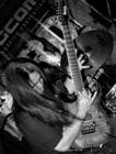 Picture for song 'Betrayer's Tongue I - Hymn Of Deceit (1st Solo)' by artist 'Chad Robles'