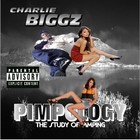 Picture for song 'She like my swagger' by artist 'charliebiggz'