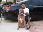 Picture for song 'HEY YOU HERE I GO I HEAR MUTHAFUKAS WANT MORE' by artist 'CHICANO HUSTLER'