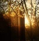Picture for song 'Peace of Mind' by artist 'Cloud Thirteen'