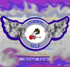 Picture for song 'Did You?' by artist 'Cosmic Silk Project'