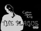Picture for song 'No Limit Clean Version' by artist 'Cotton Mane'