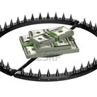 Picture for song 'Trap Money 65BPM SOLD' by artist 'Crank Lucas'