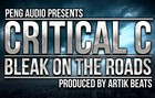 Picture for song 'Critical C - Bleak On The Roads (Artik Beats)' by artist 'Critical C'