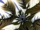 Picture for song 'Middle East Groovin'' by artist 'Crome Productions'