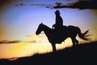 Picture for song 'A HORSE WITH NO NAME' by artist 'Daddy G'