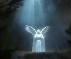 Picture for song 'LORD YOU ARE WORTHY TO BE PRAISED' by artist 'Daddy G'