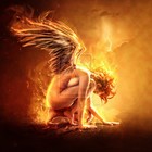 Picture for song 'Phoenix (Only Lease)' by artist 'Damie Muzick'