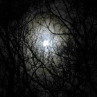 Picture for song 'Broken Darkness - dangerzonebeatz.com' by artist 'Danger Zone BeatZ'