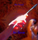 Picture for song 'Point Of Origin' by artist 'dan pound'
