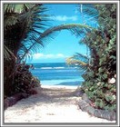 Picture for song 'Day At the Beach' by artist 'Dante Cope R and B'