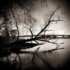 Picture for song 'The Ocean' by artist 'Darkshape'