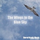 Picture for song 'The Wings in the Blue Sky' by artist 'Darryl Brady'
