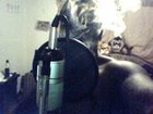 Picture for song 'G4 Freestyle' by artist 'DA STREET PHARMISCIST'
