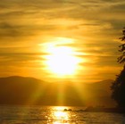 Picture for song 'Sunshine' by artist 'Dave Bride'