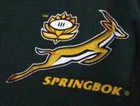 Picture for song 'Go Bokke Go' by artist 'David East'
