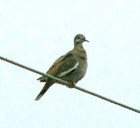 Picture for song 'HighLonesome Sound' by artist 'DavidLunbeck'