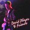 Picture for song 'David Player - Banker's Blues' by artist 'David Player'