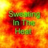 Picture for song 'Sweating In The Heat (Vocal Mix)' by artist 'Daveros'