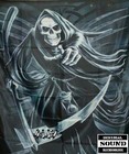 Picture for song 'Levantando mi bandera' by artist 'decimaalianza4117'