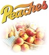 Picture for song 'Peaches' by artist 'Delta IX'
