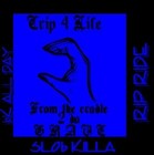 Picture for song 'block rules' by artist 'DEUCES N TRAYZ'