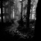 Picture for song 'NIGHT CREEPER (FREE DL)' by artist 'Diamond Bezel Productions'