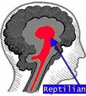 Picture for song 'Repticulus Instigatica' by artist 'Diego Music Creations'