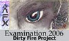Picture for song 'Examination (2006 remix)' by artist 'Dirty Fire Project'