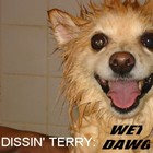 Picture for song 'Da M.I.L.F. Factor' by artist 'Dissin' Terry'