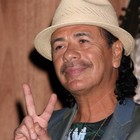 Picture for song 'Supernatural ( Tribute to Carlos Santana )' by artist 'Distorted Youth'