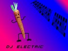 Picture for song 'Paradoxal Dreamz' by artist 'Dj Electric'