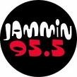Picture for song ''Werk The Good Life' On Jammin 95.5' by artist 'DJ Icepick'