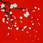 Picture for song 'Nal' by artist 'dj master beats'