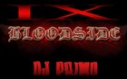 Picture for song 'Bloodside - Achterut Rmx' by artist 'DJ PRIMO(BEL)'