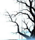 Picture for song 'Acceleration' by artist 'Dj SLum (thinking about changing artist name)'