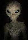 Picture for song 'venus trance' by artist 'dj wolfie'