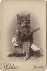 Picture for song 'Copy Catz' by artist 'Don B Music'
