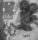 Picture for song 'Drag Queen Fecalfest' by artist 'Drag Queen Fuckfest'
