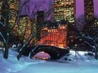 Picture for song 'WINTER IN CENTRAL PARK' by artist 'Dr. Bob's Jazz - Benefit Boppin' Quartet - JBBQ'