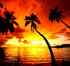 Picture for song 'Black & White' by artist 'DrEaMzMuSiK'