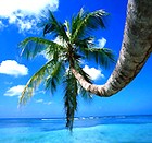 Picture for song 'Rise Of The Machines' by artist 'DrEaMzMuSiK'