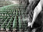 Picture for song 'Drinski Talasi (Srebrenica da se pamti)' by artist 'Drinski Talasi'