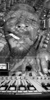 Picture for song 'Dem Dem Dem!' by artist 'DUBB SMITH'