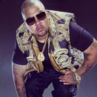 Picture for song '213 - Full Beat - Trap' by artist 'DunkDaMenace'