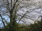 Picture for song 'Cool Autumn Morning' by artist 'Earache'