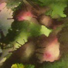 Picture for song 'Santana song-Smooth' by artist 'Earth Blues 2'