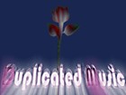 Picture for song 'Duplicated Music' by artist 'e-CoTub'