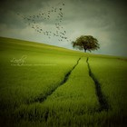 Picture for song 'Day Dreaming' by artist 'Eko Chrome(iProduce)'